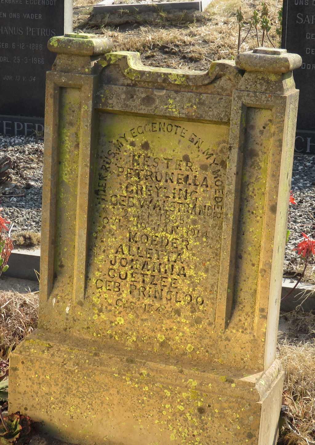 Oranjeville grave Greyling